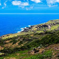 Image result for Wiesneria