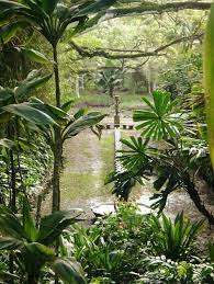 Mermaid Room Allerton Garden Kauai Kauai Gardens Of The World Tropical Landscaping