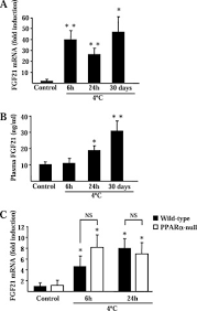 Wong& partners dental surgeons, bandar baru sri petaling. Thermogenic Activation Induces Fgf21 Expression And Release In Brown Adipose Tissue Journal Of Biological Chemistry