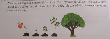 De aceea astăzi îți propun să faci un mic gest. C NumeroteazÄ Imaginile In Ordinea PlantÄrii Unui Pom FormeazÄ Din Cifrele Scrise Cel Mai MarenumÄr Brainly Ro