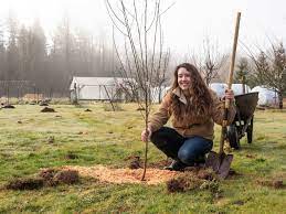 Luckily, there are plenty of mild winters in zone 7 let gardeners grow a larger amount of fruit tree varieties that aren't available in other areas. When And How To Plant Fruit Trees