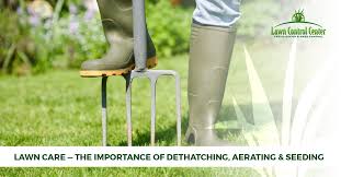For southern lawns and overseeding in winter, you can set the mower as low as it can go to cut the lawn then, you should use a metal rake to dethatch the grass, a process where you remove old, dead growth, clippings and. Lawn Care Cleveland The Importance Of Dethatching Aerating Seeding Lawn Care Center