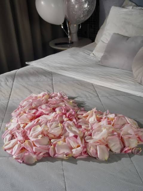 Bed Of Roses Photos, Download The BEST Free Bed Of Roses Stock Photos & HD  Images