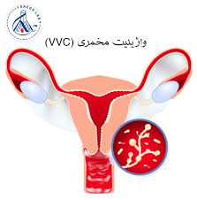 آزمایش هارمونی چیست و چه کمکی به مادران باردار می‌کند؟ - آزمایشگاه  پاتوبیولوژی و ژنتیک پزشکی فروردین