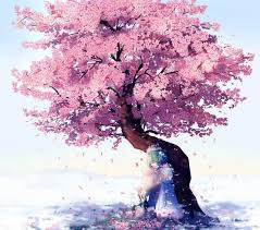 Cherry blossoms or sakura in japanese are a majestic symbol of spring. Share 1 Imgur Anime Cherry Blossom Sakura Tree Tree Drawing