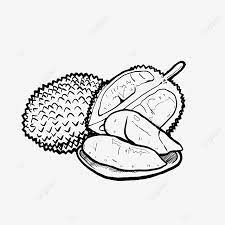 We did not find results for: Original Hand Drawn Durian Line Draft Cartoon Material Hand Painted Decorative Pattern Cartoon Png Transparent Clipart Image And Psd File For Free Download
