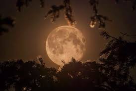 We did not find results for: Gorgeous Beautiful Moon Shoot The Moon Good Night Moon