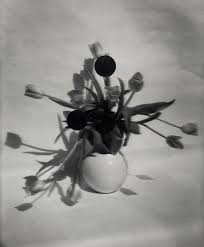 After opening, the flower fragrance is ten miles. Gup Magazine