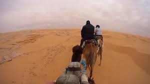 Find professional riding camel videos and stock footage available for license in film, television, advertising and corporate uses. Camel Ride Pov Stock Footage Royalty Free Stock Videos Pond5