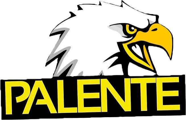 Palente Besançon Handball - Ligue Féminine de Handball