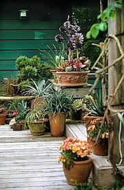 Check spelling or type a new query. Pin By Maryann Mitchell On Main Verte Plants Garden Containers Planting Flowers