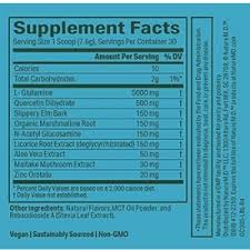 Vincent pedre understands gut problems firsthand. Gut Connect 365 Review 2021 How Does It Help With Leaky Gut