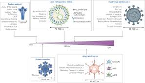 Maybe you would like to learn more about one of these? Reasons For Success And Lessons Learnt From Nanoscale Vaccines Against Covid 19 Nature Nanotechnology