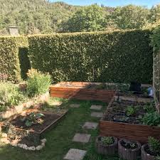 Gemuse Anbau In 2020 Gartengestaltung Garten Gartengestaltung Diy