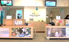 We did not find results for: Best Friends Pet Hotel Best Friends Pet Care Spring Tx