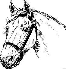 An unusual type of pinto or paint coloring where the horse has dark ears and poll (like a hat on the head), but surrounded on all sides of the head and neck by white. Horse Head Coloring Pages Horsehead3 Printable Coloring4free Coloring4free Com