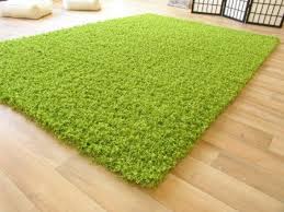 Shaggy Hochflor Teppich Funny Grun Hochflor Teppich Langflor Teppich Und Wohnaccessoires