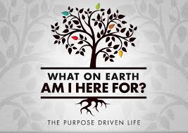 Whether you are going to experience this adventure with a small group or on your own, this study will change your life. Purpose Driven