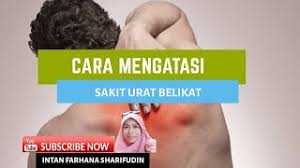 We did not find results for: Petua Hilangkan Sakit Urat Belikat