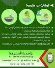 Al-Saeedah University