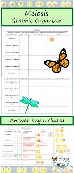 Selected answers meiosis and mitosis answers work meiosiswork 2. Pin By Melissa Wright On Teach Something Teaching Biology Biology Classroom Biology Lesson Plans