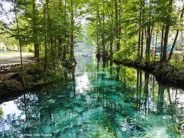 48 people watched.ginnie springs florida vacation rentals; Ginnie Springs Outdoors Florida Camping Reservations Campgrounds Reserveamerica
