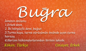 Bugra Isminin Anlami Nedir Bugra Isminin Analizi Bilgekadin Com