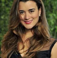 Cote de Pablo Pvt page