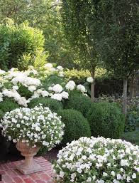 33 Wunderschone Pflanzen Fur Den Weissen Garten Www Possibledecor Schonegarten Club Garten Hortensien Garten Garten Bepflanzen