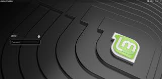 Hello, i have a problem concerning the disk encryption passphrasse it. Linux Mint Community