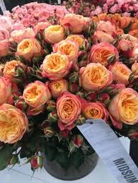 Always the best flowers, order flowers & send bouquets of flowers same day delivered by the local florist netherlands. 38 Best Holland Flowers Ideas Holland Flowers Flowers Holland