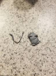 Pacific until july 7, 2021 at 11:00 a.m. Found These Metal Pieces Among My Mom S Ashes What Are They Whatisthisthing