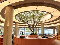 优质文化项目串珠成链上海嘉定新城“远香文化环”打造新型文化空间_上海频道_央视网