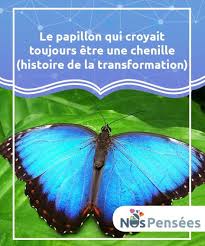 Le Papillon Qui Croyait Toujours Etre Une Chenille Histoire De La Transformation Papillon Je Pense A Toi Et Vous Etes