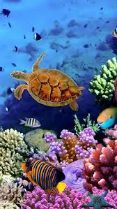 Seabed Fish Iphone 5s Wallpaper Download Iphone Wallpapers Ipad Wallpapers One Stop Downloa Underwater Wallpaper Ocean Creatures Art Beautiful Sea Creatures