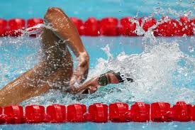 He started to compete when he was six years old, beginning a career that has become increasingly promising year after year. Gregorio Paltrinieri In Dreamland After European Record In 1500 Free