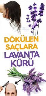 Mis Kokulu Lavanta Ile Sac Dokulmesini Onleyen Kur Health And Beauty Health Herbs