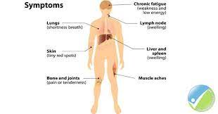 Also ask your doctor about changes to your diet and exercise that can help you feel better during your treatment. Lymphoma Lessons Blendspace