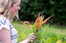 Managing your nutrients and ph How To Start Growing Your Own Ingredients In Your Garden Or At Home