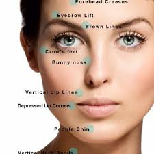 Profile for Urban Aesthetics