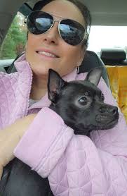 Potty training tips for a rescued chihuahua