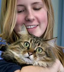 GOING BEYOND FOOD ALLERGIES