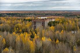 Map of red forest in chernobyl exclusion zone. Forest Fires Put Out Near Chernobyl