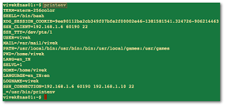Linux List All Environment Variables Command - Nixcraft