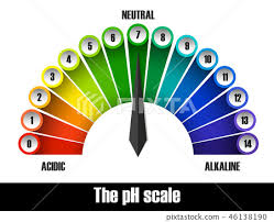 The Ph Scale Chart Stock Illustration 46138190 Pixta