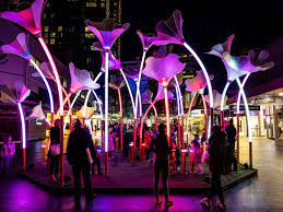highlight carnival of lights 2019 wellington