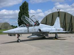 Raw agent tiger is on a mission to retrieve information from a scientist in dublin. The Modelling News Kittyhawk S New F 5f Tiger Ii With Two New Pilots And A Access Ladder Coming At August