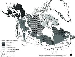 Check spelling or type a new query. Map Of Northern North America Including Alaska Usa Canada And Download Scientific Diagram