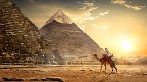 Check out our egypt camel selection for the very best in unique or custom, handmade pieces from our shops. Cheap Flights To Egypt 2021 2022 Easyjet