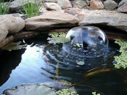 Notice the colored pebbles surrounding the feature and the added flowers complimenting the design. How To Build A Fish Pond Or Garden Pond 6 Steps With Pictures Instructables